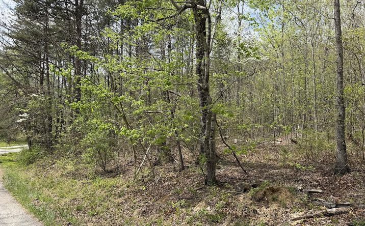 Pictures of Land property located at 0 Myers Hill Rd Lot 1, Tracy City, TN 37387 for sales - image #1