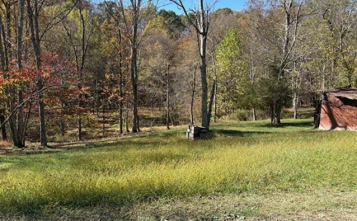 Pictures of Land property located at TBD Fawn Meadow Drive, Maidsville, WV 26541 for sales - image #1