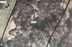 31676019