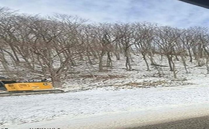 Pictures of Land property located at 2511 Chenoweth Creek Rd, Elkins, WV 26241 for sales - image #1