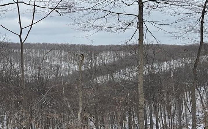 Pictures of Land property located at TBD Dry Branch Road, Corton, WV 25045 for sales - image #1