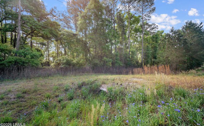 Pictures of Hospitality, Mixed Use, Land property located at 195 Ladys Island Dr, Beaufort, SC 29907 for sales - image #1