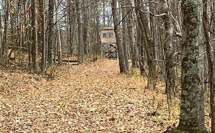 Pictures of Land property located at 000 Crawford Road, Crawford, WV 26343 for sales - image #1
