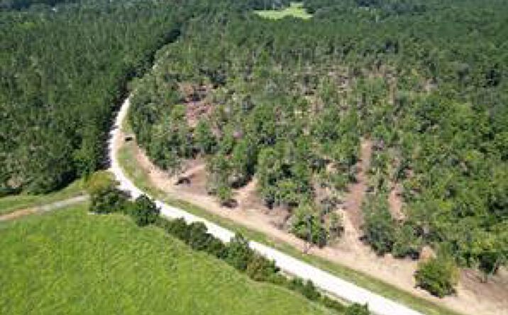 Pictures of Land property located at TBD Vick Spring Road, New Waverly, TX 77358 for sales - image #1