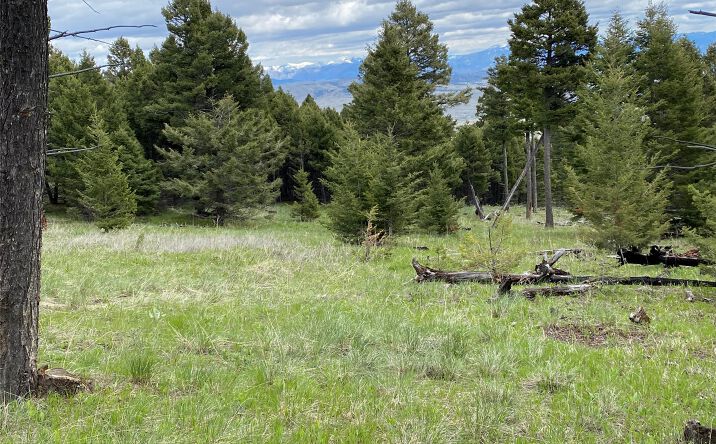 Pictures of Land property located at 6750- 4A Turk Road, Helena, MT 59602 for sales - image #1
