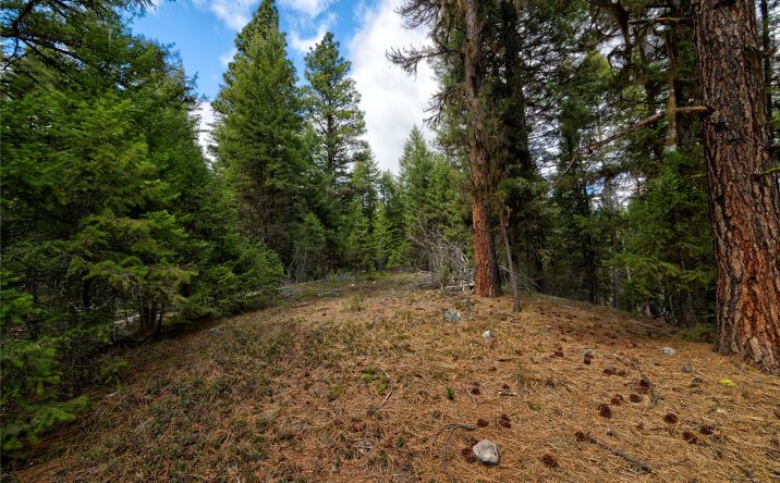 Pictures of Land property located at NHN Ravenwood Road, Darby, MT 59829 for sales - image #1