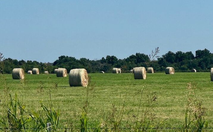 Pictures of Land property located at State Hwy 19, Stratford, OK 74872 for sales - image #1