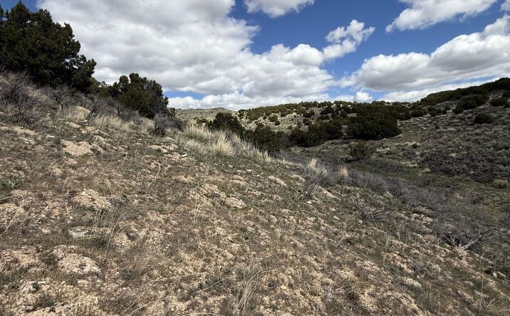 Pictures of Land property located at 6-31A-029, Elko, NV 89801 for sales - image #1