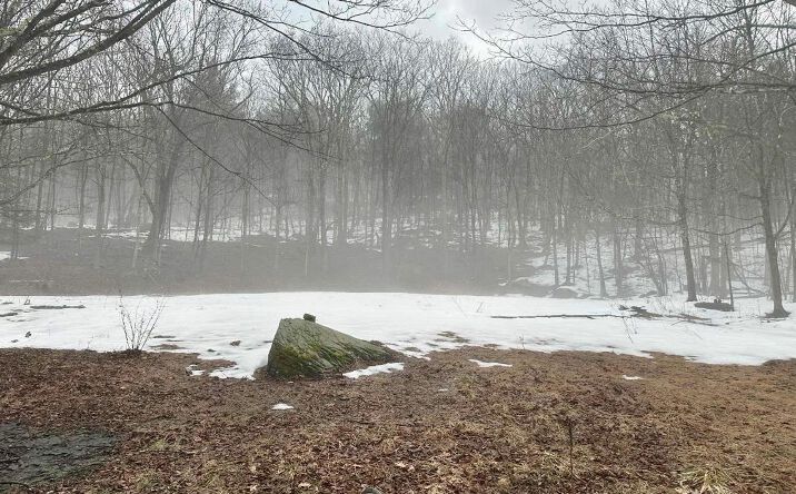 Pictures of Land property located at 804 Hearts Content Road, Cairo, NY 12413 for sales - image #1