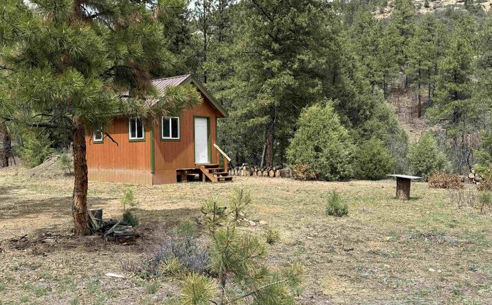Pictures of Land property located at TBD Tbd Road, Chama, NM 87520 for sales - image #1