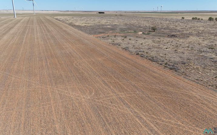 Pictures of Land property located at 2795 & 2915 S Roosevelt Road K, Causey, NM 88113 for sales - image #1