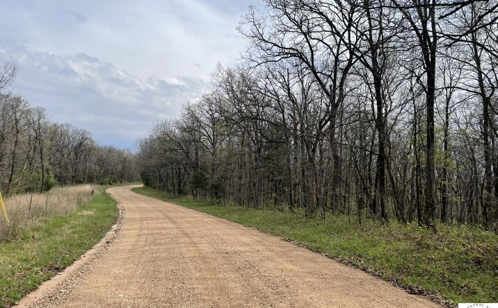 Pictures of Land property located at Kullman Road, Lincoln, MO 65338 for sales - image #1