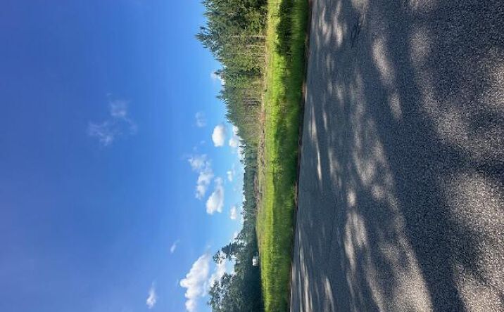 Pictures of Land, Multifamily property located at 4 Rudd Road, Ridgeville, SC 29472 for sales - image #1