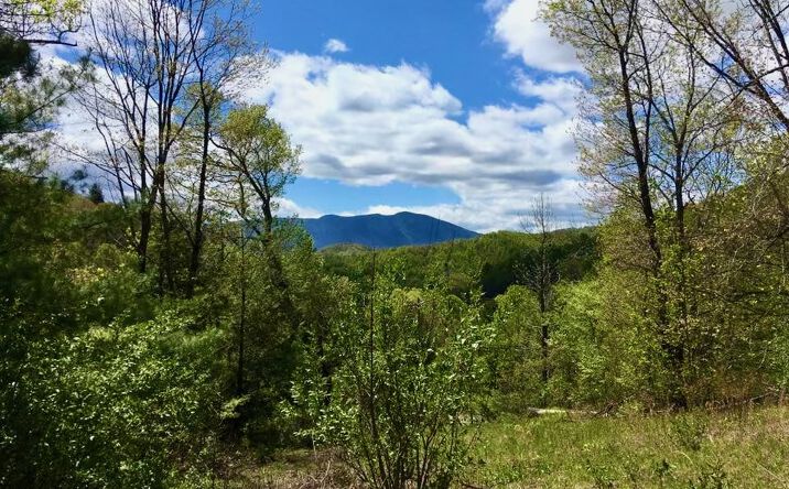 Pictures of Mixed Use, Land property located at 65 Blue Ridge Gem Mine Road, Spruce Pine, NC 28777 for sales - image #1