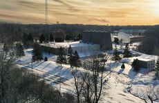 31688983