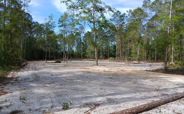 Pictures of Land property located at 606 SE Hwy 346, Old Town, FL 32680 for sales - image #1