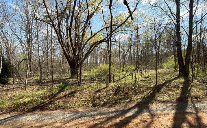 TBD Gunny Sack Trail, Hillsville