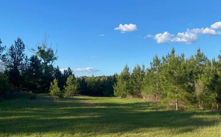 Pictures of Land property located at HWY 48, 69546, MS 39638 for sales - image #1