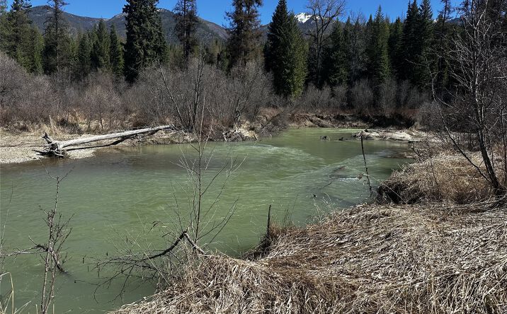 Pictures of Land property located at 186 Tailback Road, Troy, MT 59935 for sales - image #1