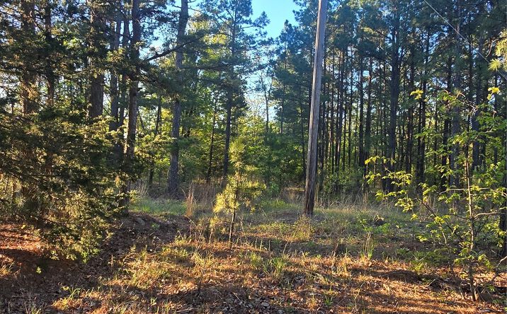 Pictures of Land property located at 77 NE Little Flat Top, Moyers, OK 74523 for sales - image #1