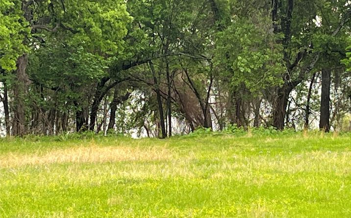 Pictures of Land property located at 34 Scenic View Road, Kingston, OK 73439 for sales - image #1