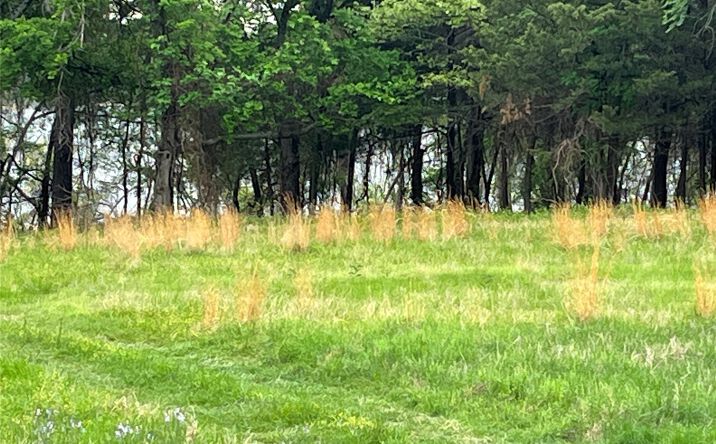 Pictures of Land property located at 35 Scenic View Road, Kingston, OK 73439 for sales - image #1