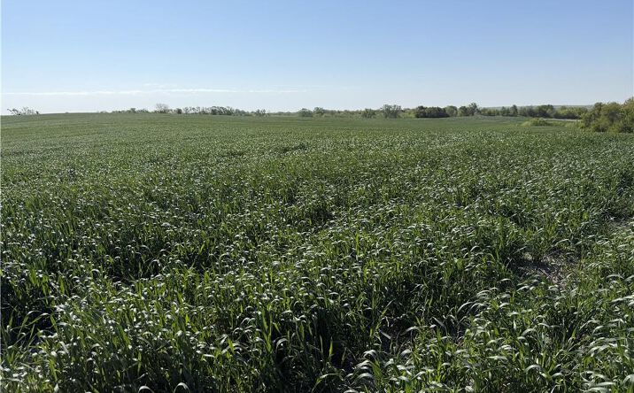Pictures of Land property located at TBD H Highway, Darlington, MO 64438 for sales - image #1