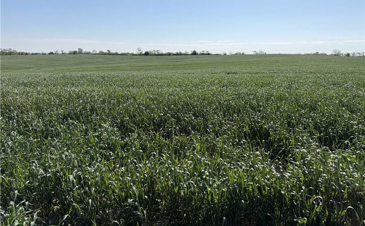 Pictures of Land property located at TBD #3 H Highway, Darlington, MO 64438 for sales - image #1
