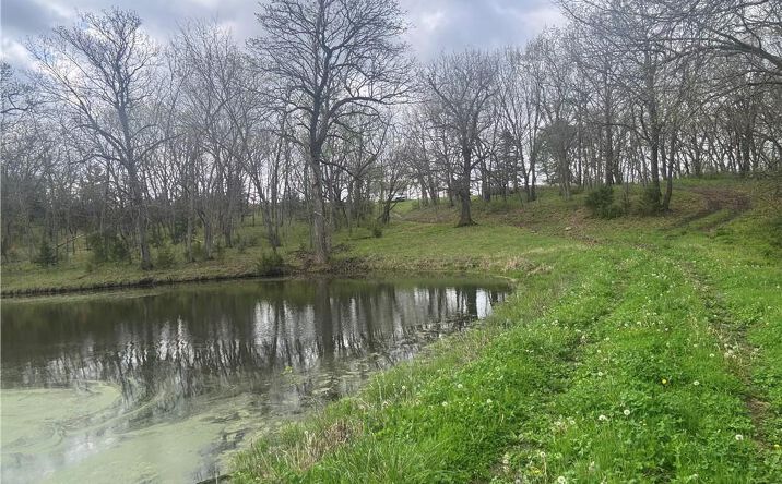 Pictures of Land, Special Purpose property located at 493 SW 1000 Road, Chilhowee, MO 64733 for sales - image #1