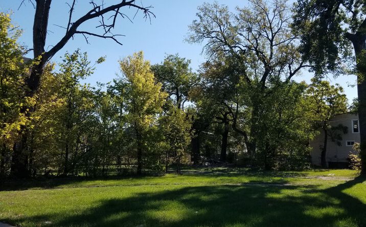 Pictures of Land, Multifamily property located at 333-335 W Garfield Boulevard, Chicago, IL 60621 for sales - image #1