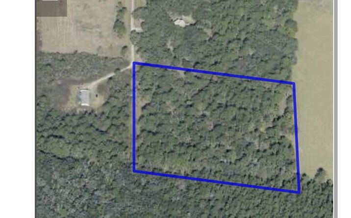 Pictures of Land property located at County Rd 90 E, Bunnell, FL 32110 for sales - image #1