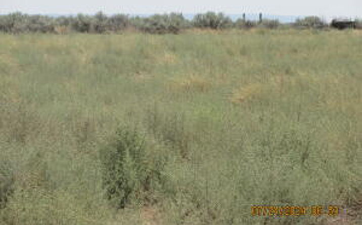 Pictures of Land property located at XX 1 ROAD 1191, La Plata, NM 87418 for sales - image #1