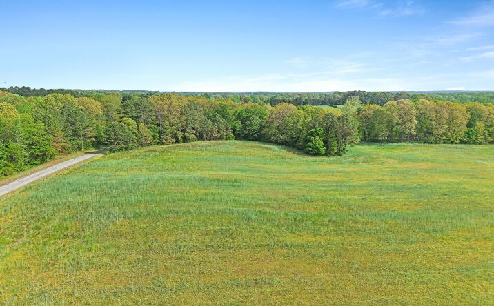 Pictures of Land property located at Harpers Chapel Road, Trenton, TN 38382 for sales - image #1