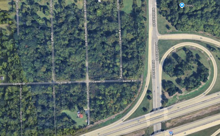 Pictures of Land property located at Farnum St, Romulus, MI 48174 for sales - image #1