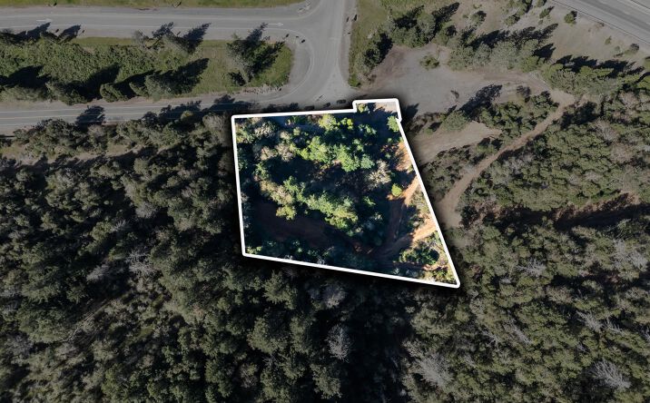 Pictures of Land property located at Frontage Road, TL#1900, Wolf Creek, OR 97497 for sales - image #1