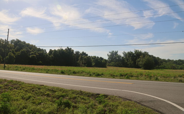 Pictures of Land property located at 8834 County Road 48, Yalaha, FL 34797 for sales - image #1