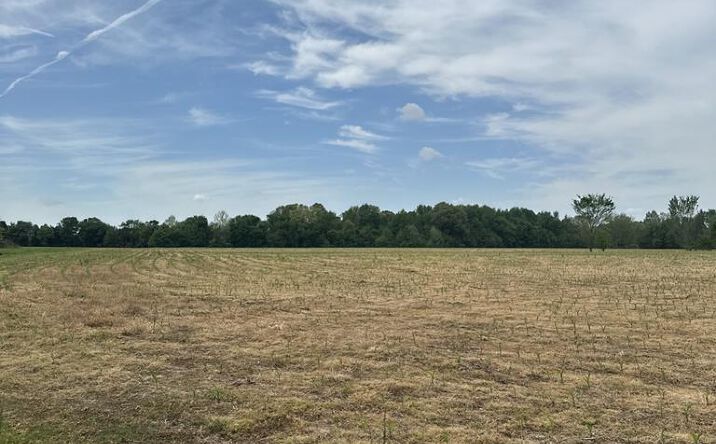 Pictures of Land property located at Mitchell Loop, Mckenzie, TN 38201 for sales - image #1