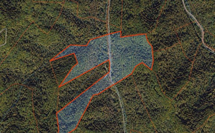 Pictures of Land, Special Purpose property located at Martin Creek Rd, Naoma, WV 25140 for sales - image #1