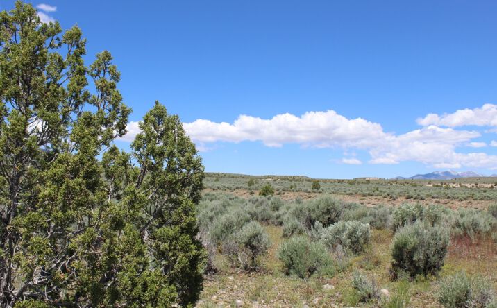 Pictures of Mixed Use, Land, Special Purpose property located at 3446 Skyline Dr, Caliente, NV 89008 for sales - image #1