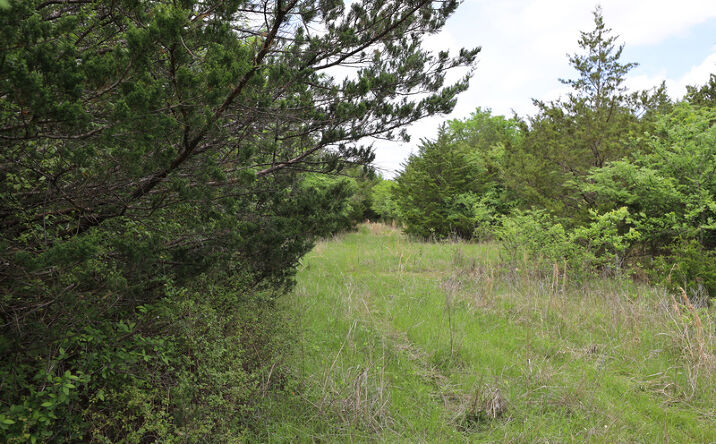 Pictures of Land property located at 0000 Alderson rd, Alderson, OK 74501 for sales - image #1