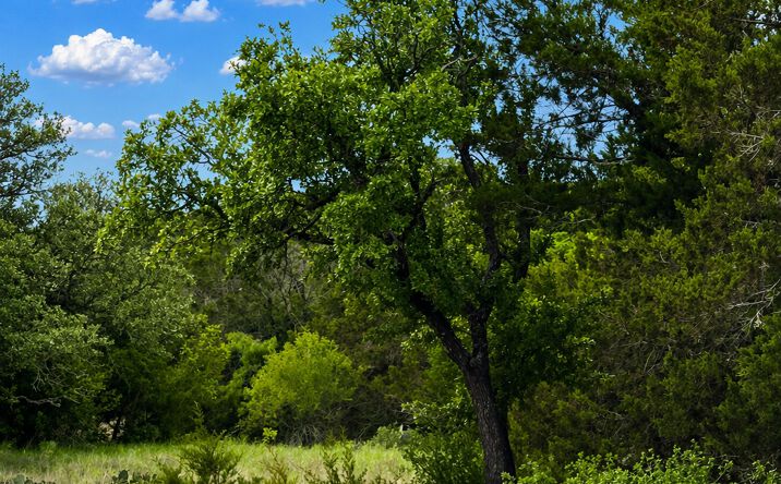 Pictures of Land property located at TBD  ARROWHEAD TRAIL LOT 7, Killeen, TX 76549 for sales - image #1