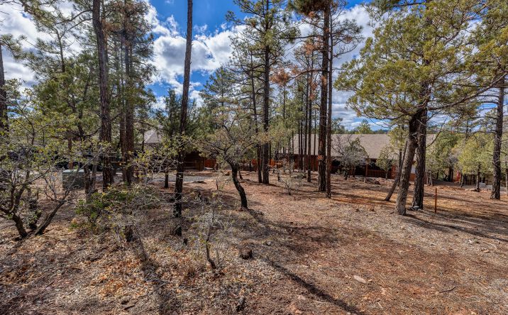 Pictures of Land property located at 4701 S PINE WAY, SHOW LOW, AZ 85901 for sales - image #1