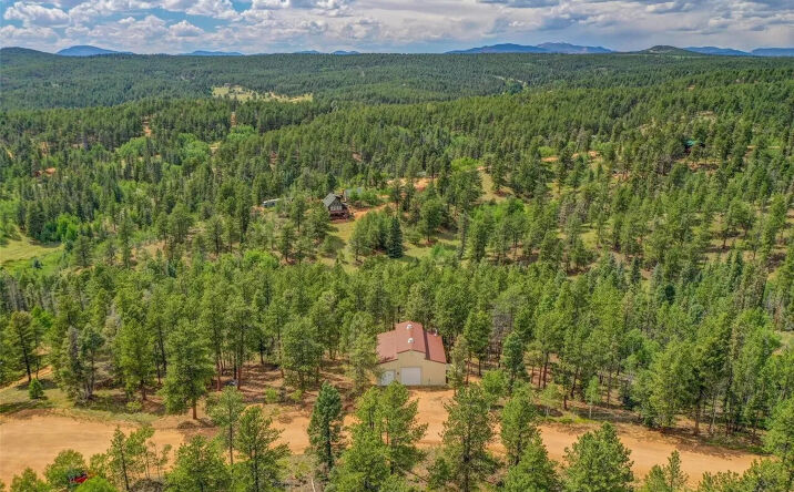 Pictures of Land property located at 449 Woody Creek Rd, Florissant, CO 80816 for sales - image #1