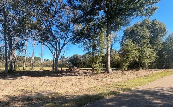 Pictures of Land property located at 13072 Capace Rd, Independence, LA 70443 for sales - image #1