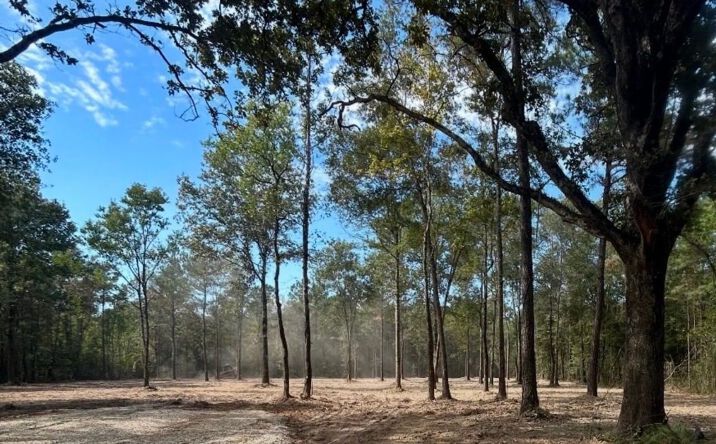 Pictures of Land property located at 13032 Capace Rd, Independence, LA 70443 for sales - image #1