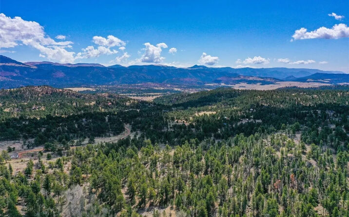 Pictures of Land property located at 487 Pikeview Ln, Florissant, CO 80816 for sales - image #1