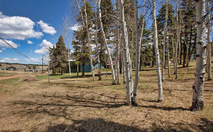 Pictures of Land property located at 571 Will Scarlet Dr, Divide, CO 80814 for sales - image #1