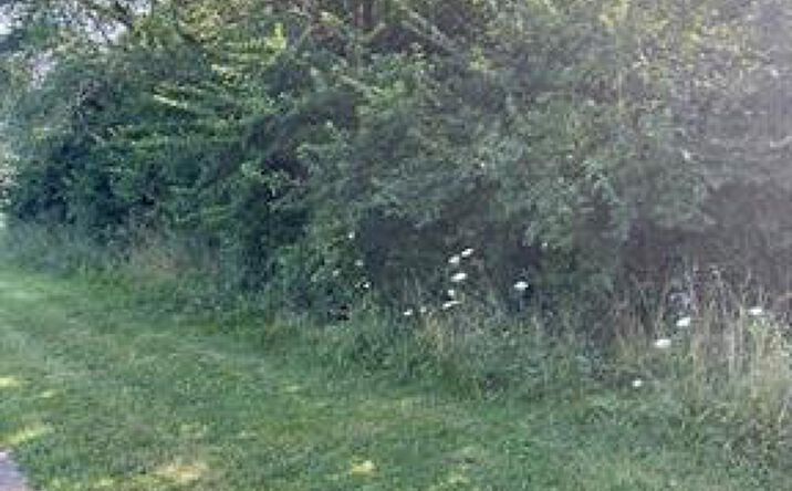 Pictures of Land property located at Brecksville Rd, Independence, OH 44131 for sales - image #1