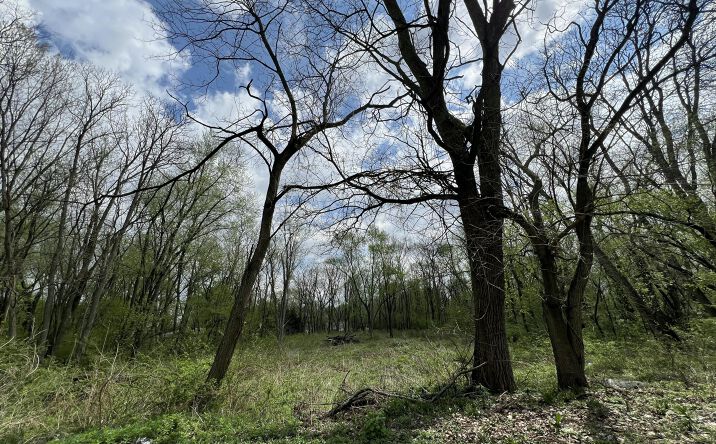 Pictures of Land property located at 3800 Brown Street, Hobart, IN 46342 for sales - image #1
