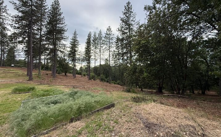 Pictures of Land property located at 16824 Pine Grove Reservoir, Nevada City, CA 95959 for sales - image #1